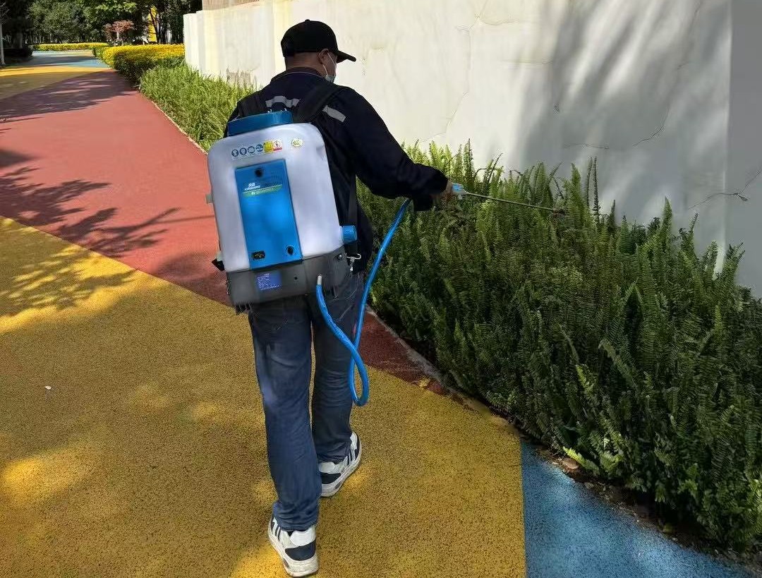 ​白蚁专项防治