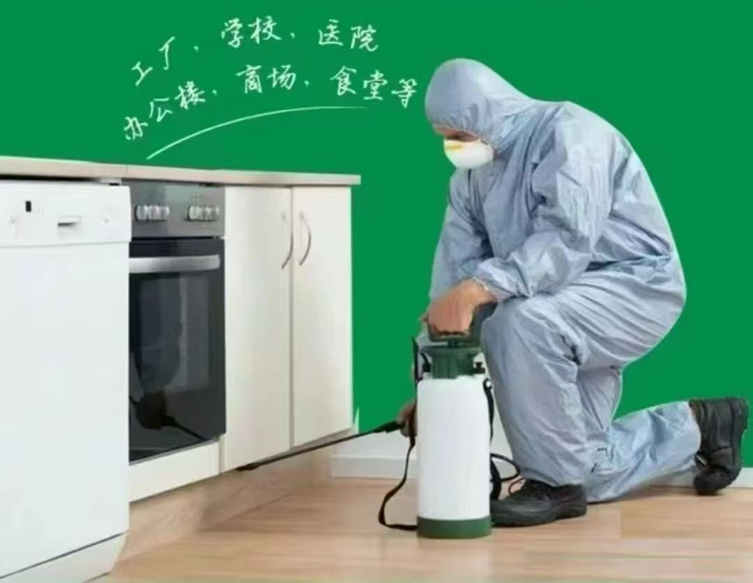 环境消毒杀菌服务